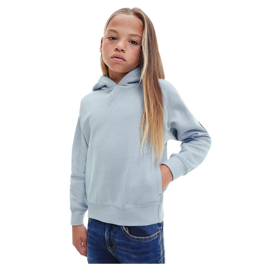 BADGE TEXTURED HOODIE Calvin Klein | CKIB0IB01527DAR